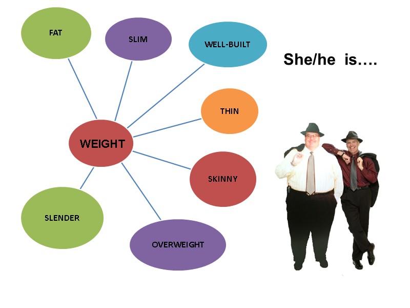 WEIGHT She/he  is….